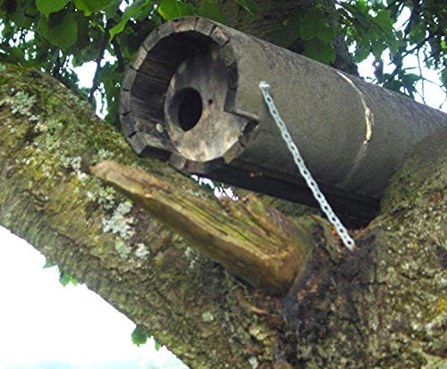 Naturschutzprodukt Steinkauz Nistkasten Nisthöhle Steinkauzröhre Typ 20A Flugloch Durchmesser 65 mm mit Marderschutz aus Holzbeton Länge 83 cm von Schwegler