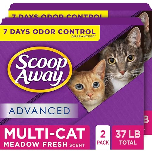 Scoop Away Advanced Multi-Cat Klumpendes Katzenstreu, Wiesenfrischer Duft, 2 x 8,4 kg (Verpackung kann variieren) von Scoop Away