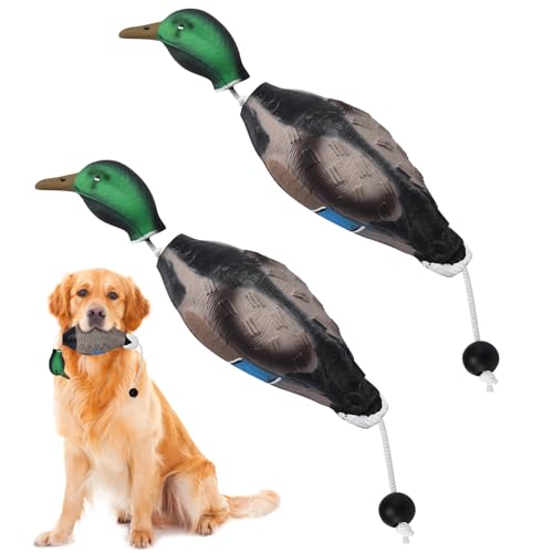 Scopaven Schwimmbare realistische Ente Schnuller für Hunde Retriever Training, Jagd Hund Erkennung Trainer, Wasservögel Training Dummy, Interaktives Schaumstoff Haustier Spielzeug, Ente Hundespielzeug von Scopaven