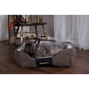 Scruffs Chester Box Bed Hundebett Graphite L von Scruffs