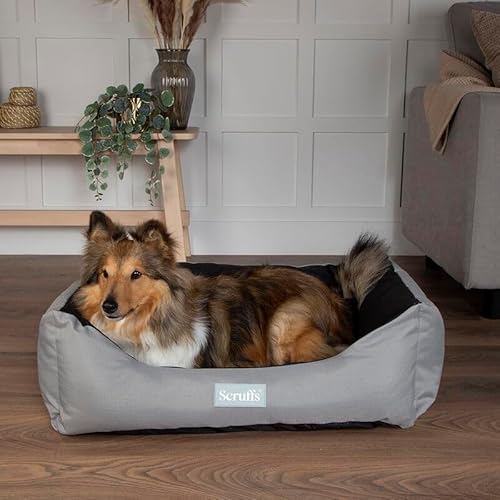 Scruffs Expedition Boxbett (XL) von Scruffs