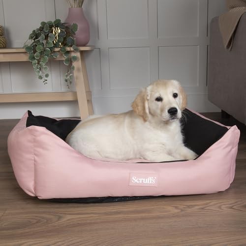 Scruffs Expedition Travel Dog Box Bed (M) von Scruffs