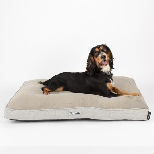 Scruffs Harvard Memory Foam Orthopädische Hundematratze für Hunde mit Gelenkschmerzen (L) von Scruffs