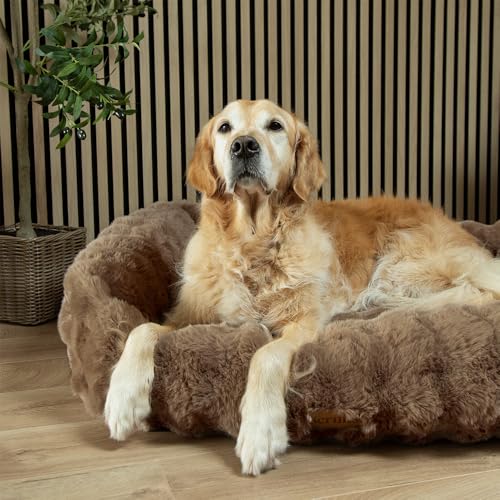 Scruffs Luxuriöses Alpenbett für Hunde (XL) von Scruffs