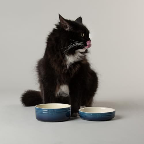 Scruffs Ombre Keramik-Napf-Set für Katzen – Blau, 2-teilig Scruffs Ombre Keramik-Napf-Set für Katzen – Blau, 2-teilig von Scruffs