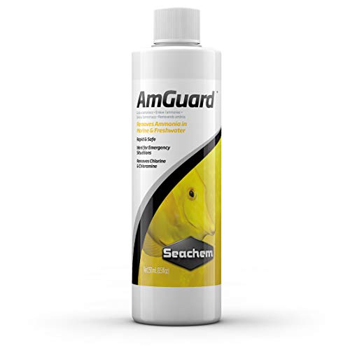 Seachem Liquid AmGuard 250ml von Seachem