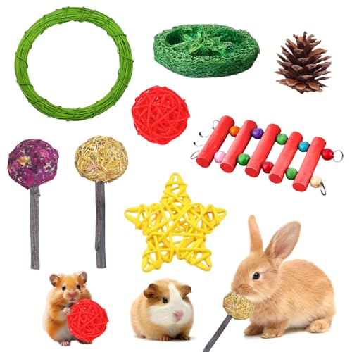 8 Stück Kaninchen Spielzeug, Kleintiere Kauspielzeug für kleine Tiere, Meerschweinchen- Spielzeug, Hasen-Spielzeug, Beschäftigung Kauspielzeug, Chinchilla-Spielzeug für die Zahnpflege, Handgefertigt von Seasboes