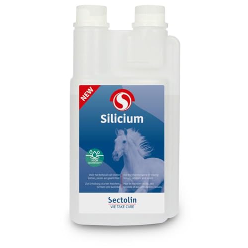 Sectolin Silicium Sonstige - 1 Liter von Sectolin