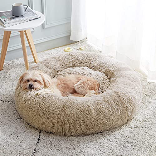 Sedefen Hundebett Rund Plüsch Flauschige Hundekissen Hundesofa Katzenbett,Waschbar rutschfest,Haustier Hundebett für Hunde und Katzen,Aprikose,Durchmesser 100cm von Sedefen