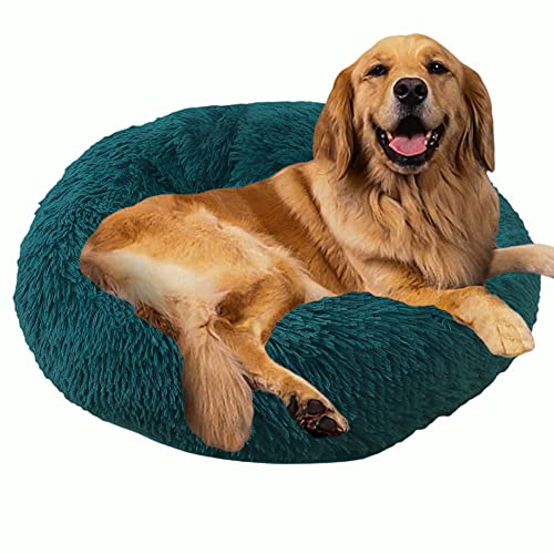 Sedefen Hundebett Rund Plüsch Flauschige Hundekissen Hundesofa Katzenbett,Waschbar rutschfest,Haustier Hundebett für Hunde und Katzen,Türkis,Durchmesser 100cm von Sedefen