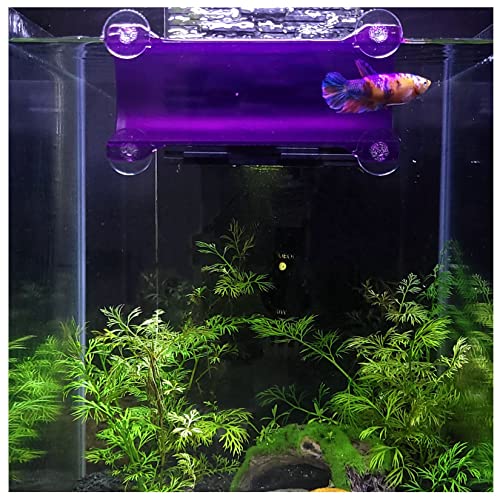 SeeShelter Marke Betta Tunnel (transluzentes Violett) von SeeShelter