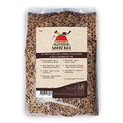 Seedzbox Ultimate Deluxe Vogelfutter für Kanarienvögel Samen- und Nussmischung, 1 Kg Beutel, 5% des Umsatzes Gespendet an 1TreePlanted, Alleinfuttermittel für Kanarienvögel von Seedzbox