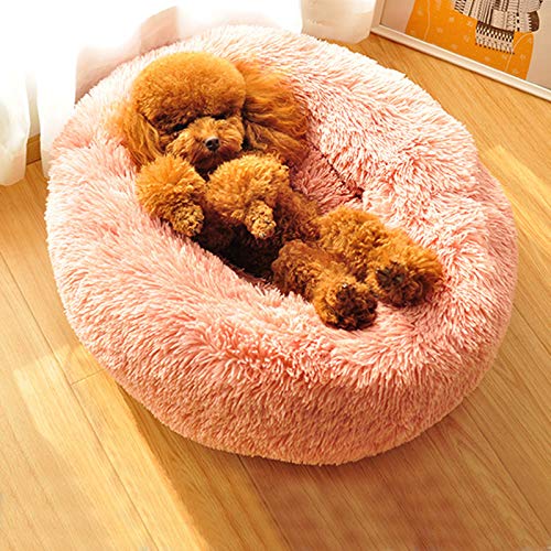 Hundebetten Plüsch Haustierbett Haustier Matte Katzensofa Hunde Kuschelbett Hundesofa Weicher Waschbar Katzenbett,Tierbett Hundebett Katzenbett Schlafplatz Hundesofa Waschbar (50*50*20CM, Rose) von Segle