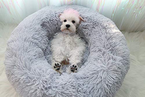 Snug Comfort Hundebett in Donut-Form, Haustierbett für Katzen und kleine mittelgroße Hunde, Kuscheltier mit weichem Kissen, runde Nisthöhle, selbstwärmend und gemütlich für verbesserten Schlaf, grau, Größe S (60 x 60 x 20 cm) von Segle