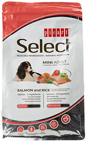 Select Mini Erwachsene Lachs 800 g von Select