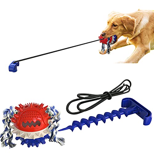 semen Hundespielzeug Kauspielzeug Zahnreinigung Hundezahnbürste Schwimmend Wasserspielzeug Hundezahnbürste von semen