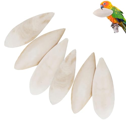 Senda Tintenfischknochen für Vögel, 6 Stück, natürliche Papageien, Cuttlebone, Kauspielzeug für Wellensittiche, Käfige, Vögel, Reptilien, Schildkröten, Schnecken, 10–12 cm von Senda