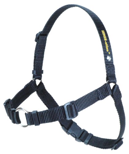 Anti Zieh Hundegeschirr - SENSEation Harness Erziehungsgeschirr - Erziehungshalsband - Reduziert Ziehen an der Leine - Medium von Sense-Ation Harness