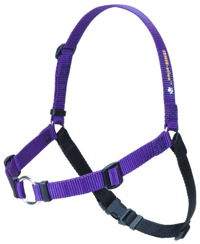 Sense-ation Hundegeschirr gegen Ziehen, l, violett von Sense-Ation Harness