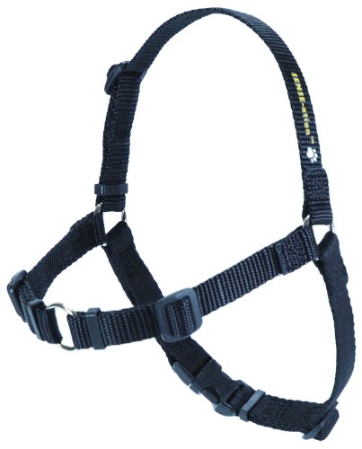 Softouch® Sense-ation Geschirr Training/antitrones Soft S violett von Sense-Ation Harness