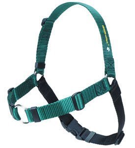 Softouch SENSE ation Hundegeschirr, kein Ziehen, Größe M, L, Grün von Sense-Ation Harness