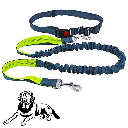 senvenelec Jogging hundeleine, einziehbare Hundeleine, Verstellbarer Gürtel Tragegriff Laufender Bungee-Hundegurt, reflektierender Gurt, Laufen, Gehen, Wandern Hyäne (grün, grau und grau) von Senven