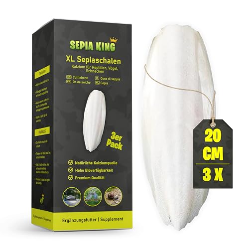 Sepia King - XL Sepiaschalen für Schildkröten, Vögel, Schnecken - Extra Dicke, große Sepia Schalen, Futter und natürliches Kalzium - Wellensittich Spielzeug, Terrarium Zubehör - 100% Natürlich von Sepia King