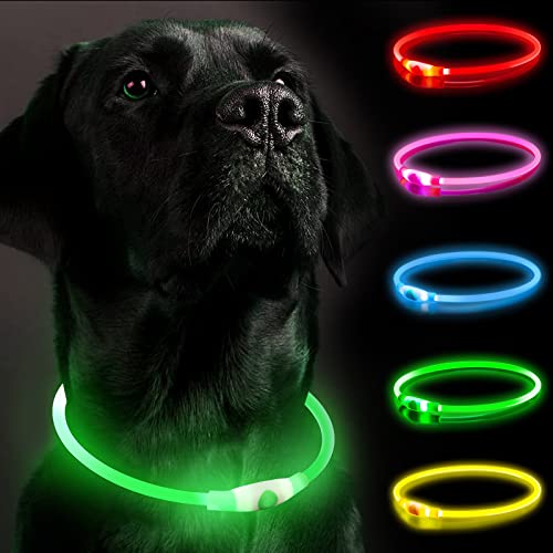 Leuchthalsband Hund, Hundehalsband Leuchtend Aufladbar, LED Halsband für Hunde, Leuchtband Hund Einstellbare Größe Hunde Leuchthalsband Sicherheit für Ihren Hund in der Nacht(Green2) von SerDa-Run