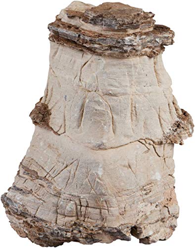 sera Rock Asian Pagoda XXL ca. 6 kg - Grau-beiger Naturstein mit faszinierender Maserung von sera