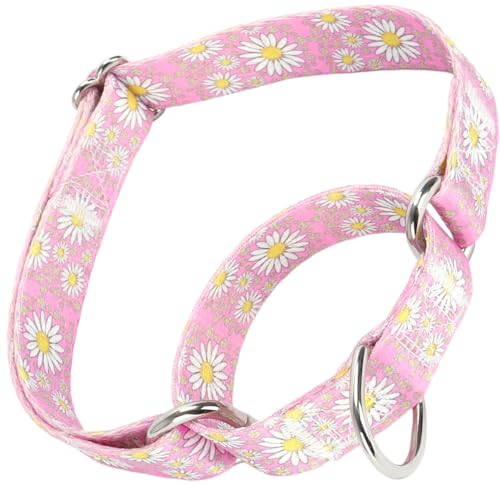 Serijoars Martingale Halsband für Hunde, rutschfest, ausbruchsicher, Würgen, kein Ziehen, weiches Nylon, Trainingshalsband für mittelgroße und große Rassen (Rosa, L) von Serijoars