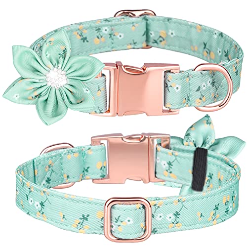 Serijoars Niedliches Mädchen Hundehalsbänder für Kleine Mittlere Große Hunde, Blumenmuster Hündinnen Halsband mit Abnehmbarer Strass Blume für Hündinnen (L, Grün) von Serijoars