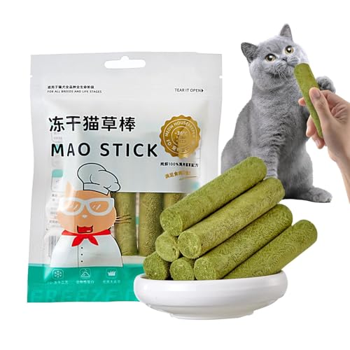 Setauoo Katzengras Snack | Cat Grass Teething Sticks for Indoor Cats | Katzengras Für Katzen | Katzengras-Beißstab zur Haarballenentfernung | Natürlicher Zahnreiniger | Katzen-Kauspielzeug von Setauoo