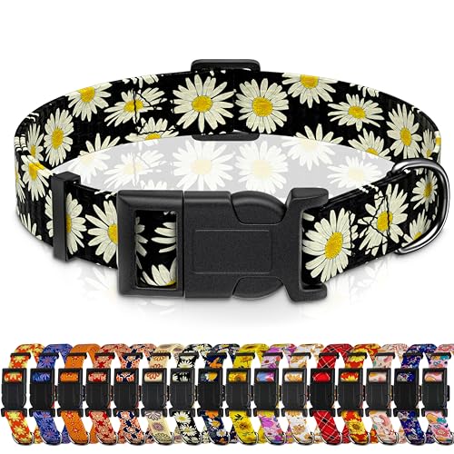 Seyezo Hundehalsband, Gänseblümchen, für Jungen und Mädchen, Welpenhalsband für kleine, mittelgroße und große Hunde, verstellbar, weiches Blumenmuster, mit Sicherheitsschnalle für männliche Frauen von Seyezo