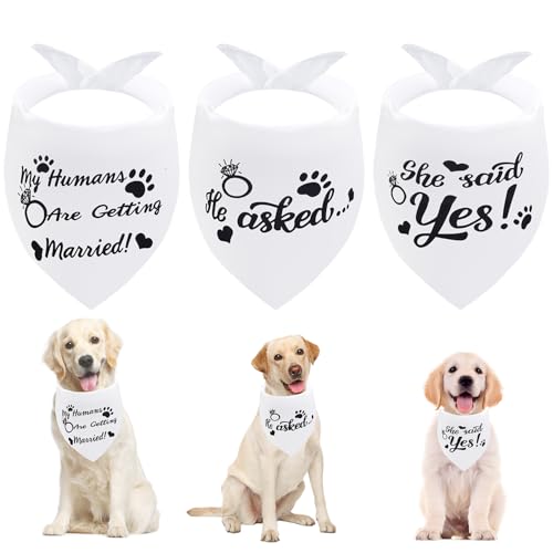 Seyezo Hundehalstücher mit Aufschrift "My Humans are Getting Married", Hundehalstücher für Hochzeiten, Haustierschal, Verlobungsfeier, Foto-Dekorationen, Haustierzubehör für Hundeliebhaber, Schwarz, von Seyezo