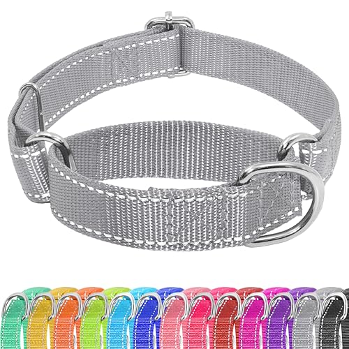 Seyezo Martingale Hundehalsband, Martingale-Halsband ohne Schnalle, verstellbares Haustier-Trainingshalsband für kleine, mittelgroße und große Hunde, reflektierendes strapazierfähiges Nylon, kein von Seyezo