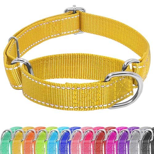 Seyezo Martingale Hundehalsband, Martingale-Halsband ohne Schnalle, verstellbares Haustier-Trainingshalsband für kleine, mittelgroße und große Hunde, reflektierendes strapazierfähiges Nylon, kein von Seyezo