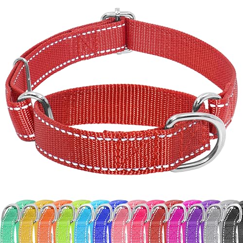 Seyezo Martingale Hundehalsband, Martingale-Halsband ohne Schnalle, verstellbares Haustier-Trainingshalsband für kleine, mittelgroße und große Hunde, reflektierendes strapazierfähiges Nylon, kein von Seyezo