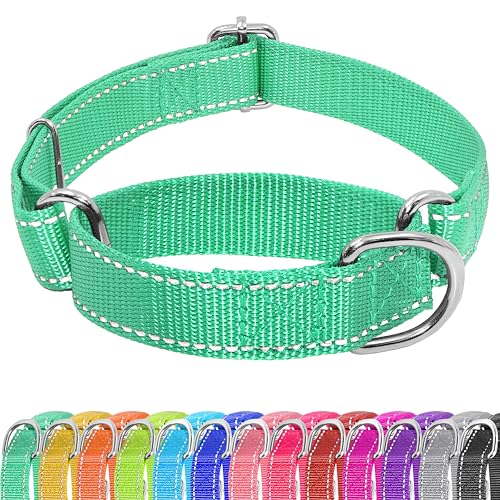 Seyezo Martingale Hundehalsband, Martingale-Halsband ohne Schnalle, verstellbares Haustier-Trainingshalsband für kleine, mittelgroße und große Hunde, reflektierendes strapazierfähiges Nylon, kein von Seyezo