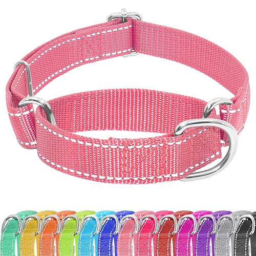 Seyezo Martingale Hundehalsband, Martingale-Halsband ohne Schnalle, verstellbares Haustier-Trainingshalsband für kleine, mittelgroße und große Hunde, reflektierendes strapazierfähiges Nylon, kein von Seyezo