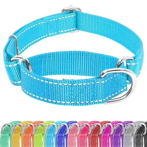 Seyezo Martingale Hundehalsband, Martingale-Halsband ohne Schnalle, verstellbares Haustier-Trainingshalsband für kleine, mittelgroße und große Hunde, reflektierendes strapazierfähiges Nylon, kein von Seyezo