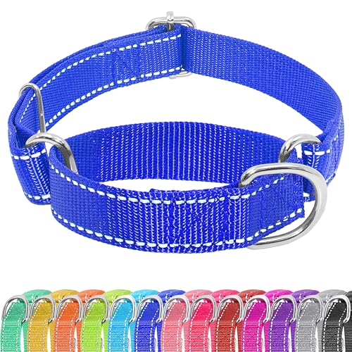 Seyezo Martingale Hundehalsband, Martingale-Halsband ohne Schnalle, verstellbares Haustier-Trainingshalsband für kleine, mittelgroße und große Hunde, reflektierendes strapazierfähiges Nylon, kein von Seyezo