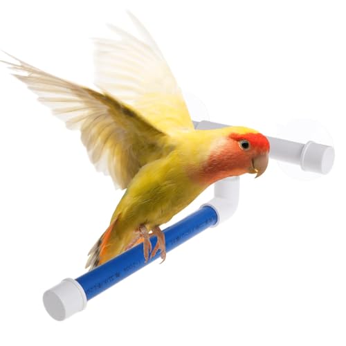 Sghtil Bade-Purme für Vogeldusche, Fisch für die Dusche von,Fisch von Punkten Spielzeug mit Saugnapf | Zubehör für Papageienkäfig, stehendes Badespielzeug, Tierbedarf Sghtil Bade-Purme für Vogeldusche, Fisch für die Dusche von,Fisch von Punkten Spielzeug mit Saugnapf | Zubehör für Papageienkäfig, stehendes Badespielzeug, Tierbedarf von Sghtil