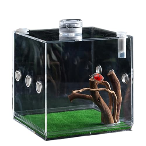 Sghtil Clear Glass Reptile Container, Clear Reptile Cage,Acrylterrarium zum Springen von Spinnenwachstum | Leichte und kleine Tierzüchter für Schildkröten, Käfer, Schnecken und Eidechsen von Sghtil