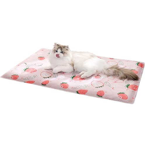Sghtil Kühlmatte für Katzen, kühlendes Katzenbett | Pet Cool Play Mats | Mattress Tragbares Katzenstreu für Kätzchen im Freien Sghtil Kühlmatte für Katzen, kühlendes Katzenbett | Pet Cool Play Mats | Mattress Tragbares Katzenstreu für Kätzchen im Freien von Sghtil