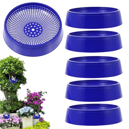 Sghtil Nistkasten für Vögel, 6 Stück, kleine Voliere, Bett für Eier im Freien für Papageien, Nymphensittiche, Kanarienvögel, Sitzstange für Garten, Hof Sghtil Nistkasten für Vögel, 6 Stück, kleine Voliere, Bett für Eier im Freien für Papageien, Nymphensittiche, Kanarienvögel, Sitzstange für Garten, Hof von Sghtil