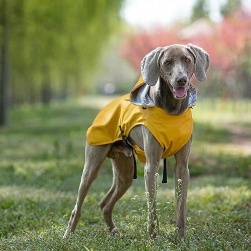 Sghtil Welpen Regenmantel, Hunde Regenjacke Kapuze, Pulcher Poncho mit Kapuzenpuppen mit reflektierenden Streifen, Haustier Regenmantelmantel, wasserfeste Kleidung, verstellbare Schnallen für mittlere von Sghtil