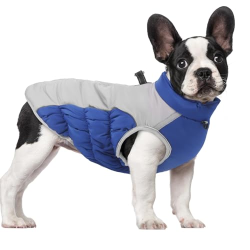 Sghtil Winterjacke für Hunde, Wintermantel, winddicht, warm, wasserdicht, für Hunde, Mäntel für kaltes Wetter, Schneejacke mit reflektierenden Streifen für Hunde von Sghtil