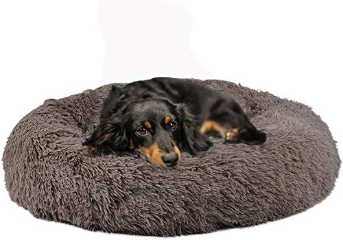 Flauschig Weich Tierbett, Dauerhaft Rund Hundekissen, XL Plüsch Hundebett, Hautfreundlich, Gemütlichem Atmungsaktiv Hundesofa, Warme Hundebett, Rutschfest, Waschbar Haustierbett für Katzen Hunde von Shadowin