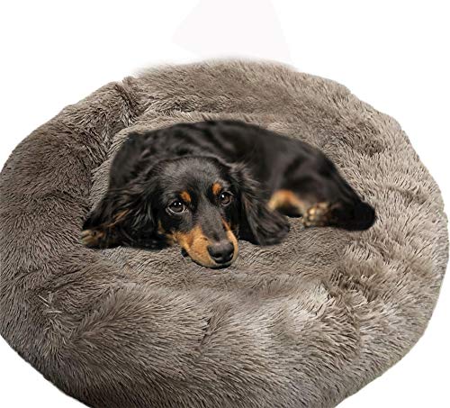 XL/XXL Rundes Donut Hundebetten, Rutschfest, Haustierbett Waschbar, Warmes Weiches Plüsch Haustierbett, Wunderschönen Gemütlichem Haustierbett für Katzen und Hunde, Rundes Plüsch Flauschige Hundebett von Shadowin