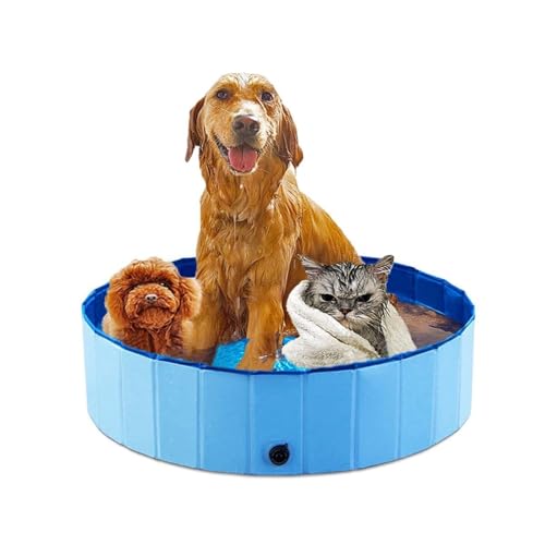 Kleiner Haustier-Swimmingpool – Ideal for kleinere Hunde und Welpen, um den Sommer sicher zu genießen(Blue,160 * 30cm) von Shamdrea